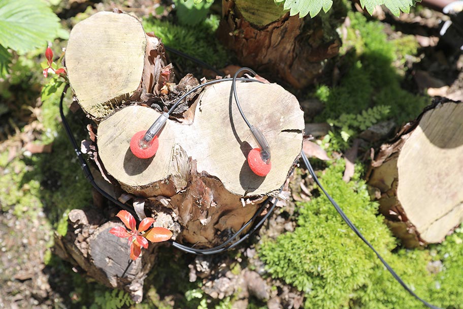 Best In-Ear Monitors (IEMs) of 2022 | The Master Switch